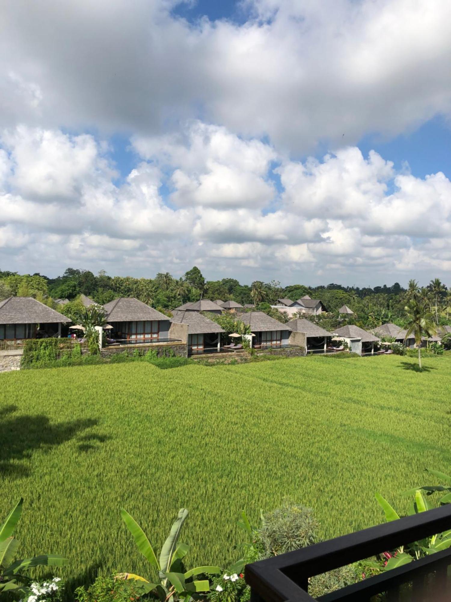 Mira Family Cottages Убуд Екстер'єр фото